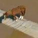 O animal ficou ilhado após as fortes chuvas que atingiram o Rio Grande do Sul. Para ser retirado do local, o cavalo foi sedado e colocado em um bote.