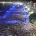 INVESTIMENTO SHOW DE MADONNA