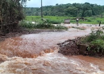 PREJUÍZOS NO CAMPO NO RIO GRANDE DO SUL