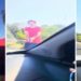 Gabrielle Gimenez e William Isidoro disseram que o homem bateu na lateral do carro.