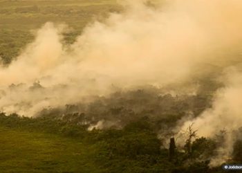 incendios no mato grosso do sul