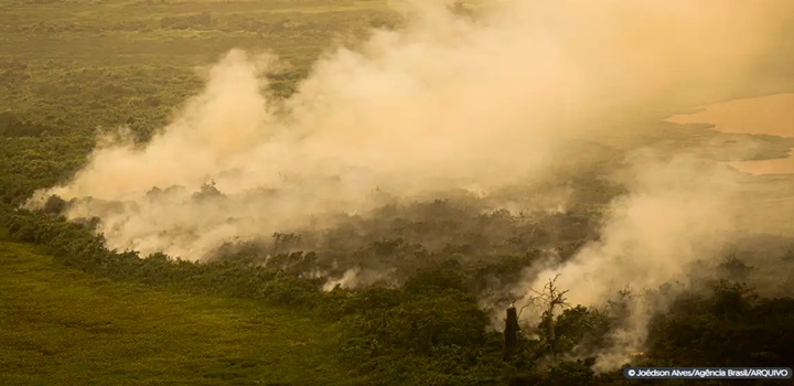incendios no mato grosso do sul