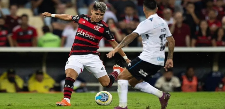 Flamengo vence o Grêmio e assume liderança do Brasileirão