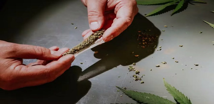 STF descriminaliza maconha