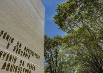 concurso ministerio da pesca