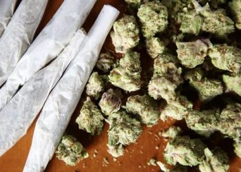Supremo fixa 40g de maconha para diferenciar usuário de traficante