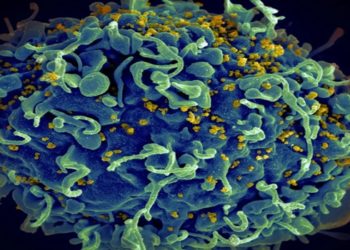cientistas anunciam paciente curado da aids