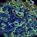 cientistas anunciam paciente curado da aids