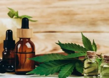 Cannabis medicinal: 1º extrato completo fabricado no Brasil chega às farmácias