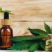 Cannabis medicinal: 1º extrato completo fabricado no Brasil chega às farmácias