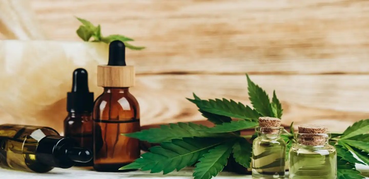 Cannabis medicinal: 1º extrato completo fabricado no Brasil chega às farmácias
