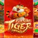 Governo avalia que Fortune Tiger pode ser liberado no Brasil e vai tentar bloquear acesso a sites do exterior