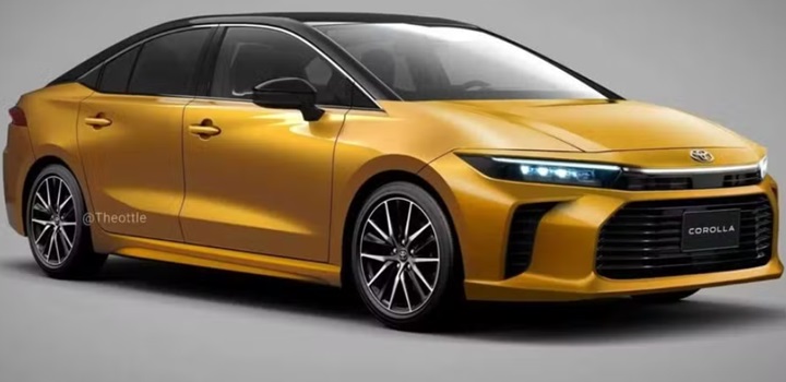 novo corolla