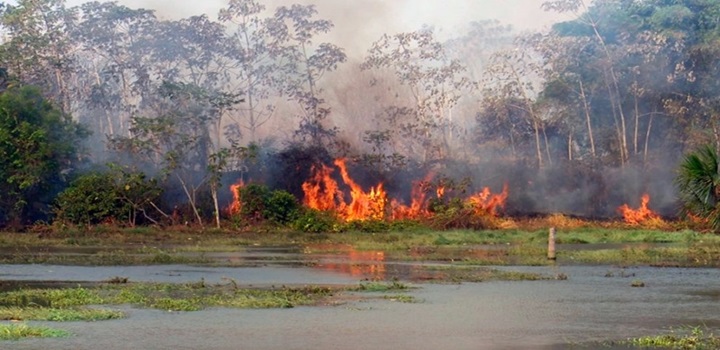 queimadas pantanal
