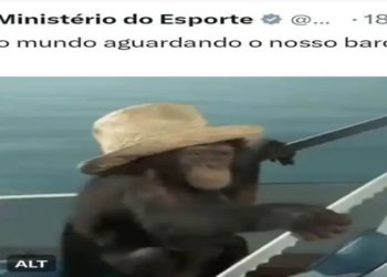 Olimpíada: Ministério do Esporte publica post racista com imagem de macaco em referência à delegação do Brasil