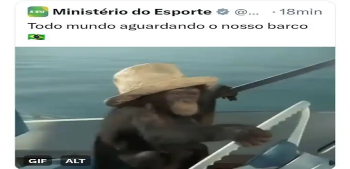 Olimpíada: Ministério do Esporte publica post racista com imagem de macaco em referência à delegação do Brasil