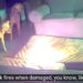 Cachorro incendeia casa após mastigar carregador portátil de celular nos Estados Unidos