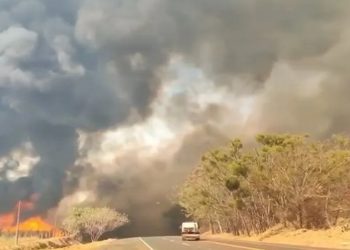 INCENDIOS EM SP