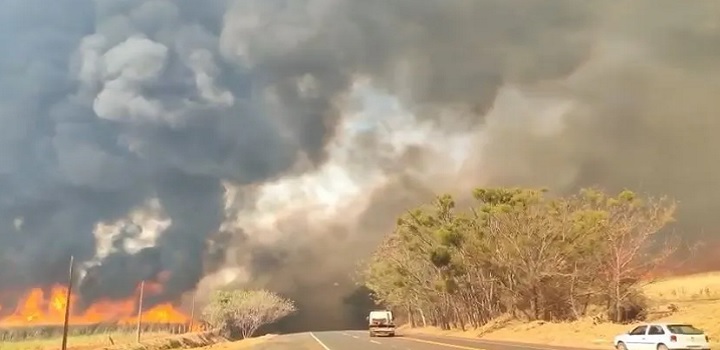 INCENDIOS EM SP