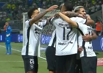 Botafogo x Palmeiras Libertadores