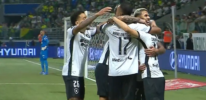 Botafogo x Palmeiras Libertadores