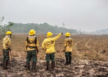 Dino estabelece orçamento de emergência para combate a incêndios