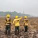 Dino estabelece orçamento de emergência para combate a incêndios
