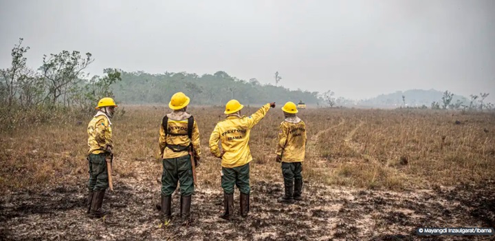 Dino estabelece orçamento de emergência para combate a incêndios