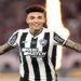 convocaçao da seleçao brasileira