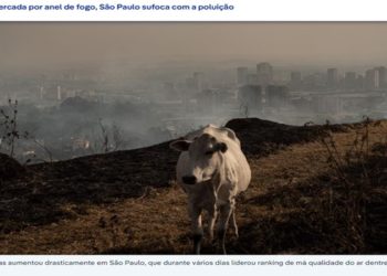 fogoe queimadas em são paulo