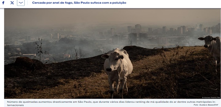 fogoe queimadas em são paulo