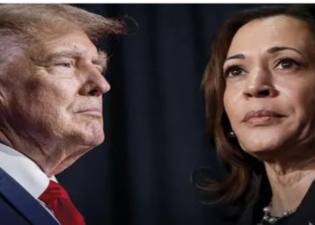 kamala harris x donald trump