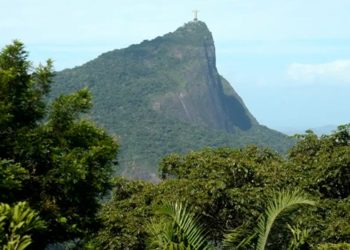 Parques do RJ são fechados à visitação por causa de incêndios