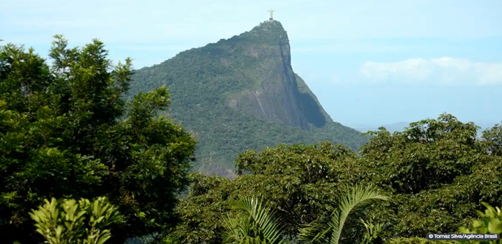 Parques do RJ são fechados à visitação por causa de incêndios