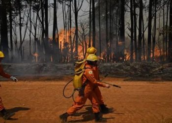 AGORA É LEI: PENALIDADES POR INCÊNDIOS FLORESTAIS E CRIMES AMBIENTAIS SERÃO MAIS RÍGIDAS NO ESTADO DO RIO