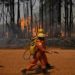 AGORA É LEI: PENALIDADES POR INCÊNDIOS FLORESTAIS E CRIMES AMBIENTAIS SERÃO MAIS RÍGIDAS NO ESTADO DO RIO