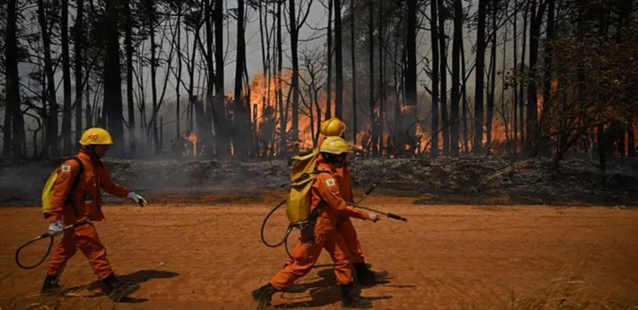 AGORA É LEI: PENALIDADES POR INCÊNDIOS FLORESTAIS E CRIMES AMBIENTAIS SERÃO MAIS RÍGIDAS NO ESTADO DO RIO