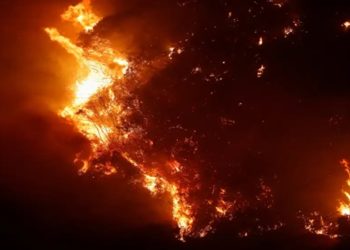 Polícia do Rio identifica 34 autores de incêndios florestais