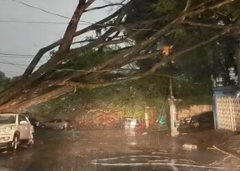 TEMPORAL SP