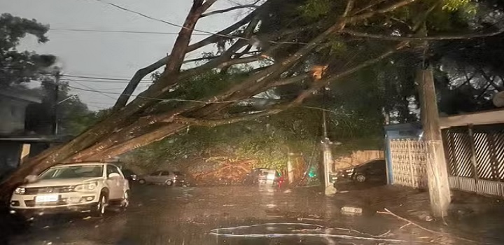TEMPORAL SP