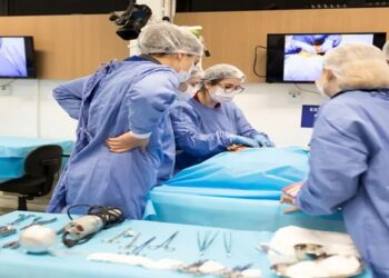 Por que Brasil importa cadáveres para treinar harmonização facial