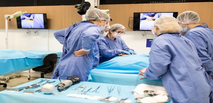 Por que Brasil importa cadáveres para treinar harmonização facial