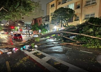 chuvas em são paulo