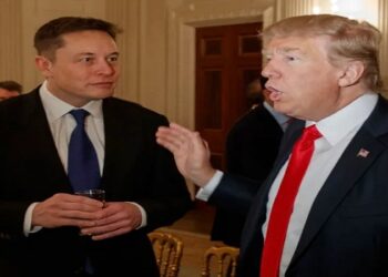 musk eleitores de trump