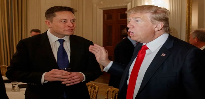 musk eleitores de trump