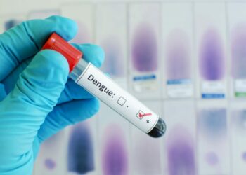 remedio oral contra a dengue