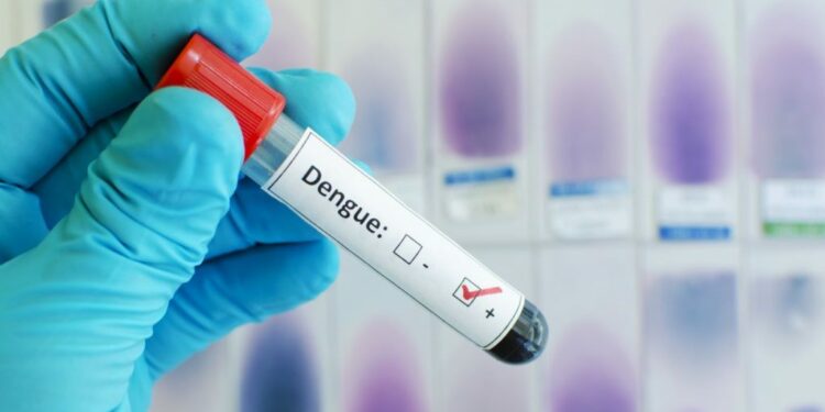remedio oral contra a dengue