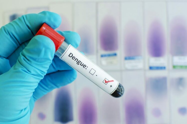 remedio oral contra a dengue