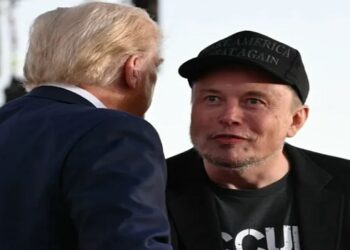 elon musk DEIXA GOVERNO TRUMP