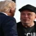 elon musk DEIXA GOVERNO TRUMP